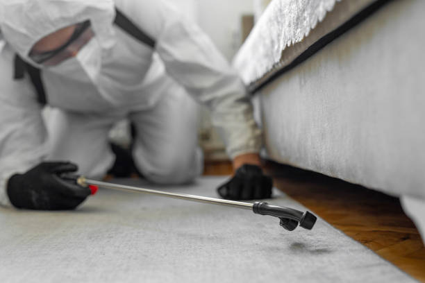 Professional Bed Bug Control technician working in St. Lawrence County County, NY